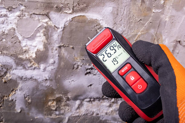 Attic Mold Removal in Hallsville, MO