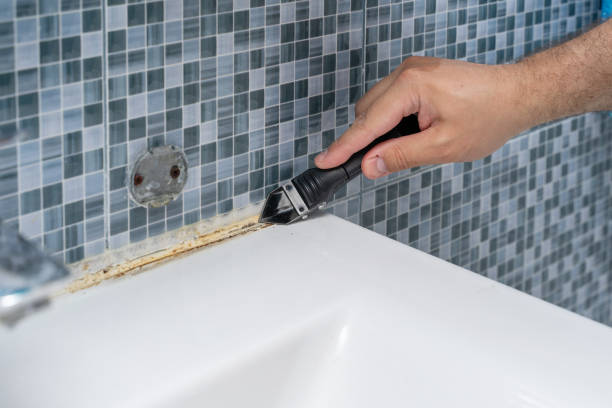 Best Professional Mold Removal  in Hallsville, MO